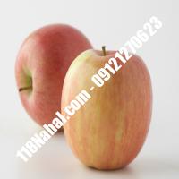 نهال سیب ژنوتیپ پایه رویشی گلدانی  مرکز فروش 118 نهال  66975361-021