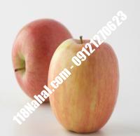 نهال سیب ژنوتیپ پایه رویشی گلدانی | مرکز فروش ۱۱۸ نهال | ۶۶۹۷۵۳۶۱-۰۲۱